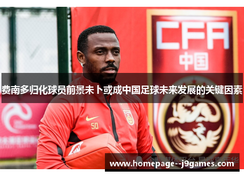 费南多归化球员前景未卜或成中国足球未来发展的关键因素