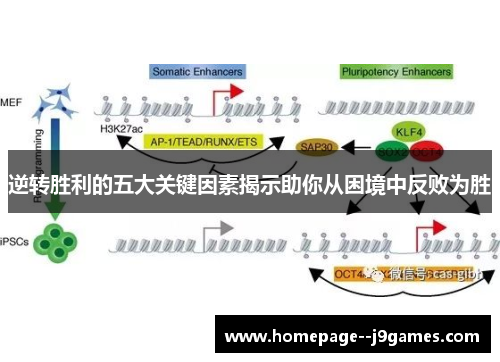 逆转胜利的五大关键因素揭示助你从困境中反败为胜