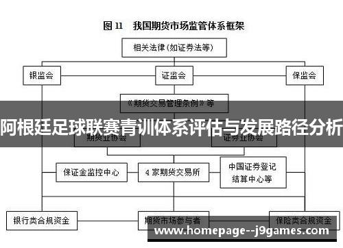 阿根廷足球联赛青训体系评估与发展路径分析